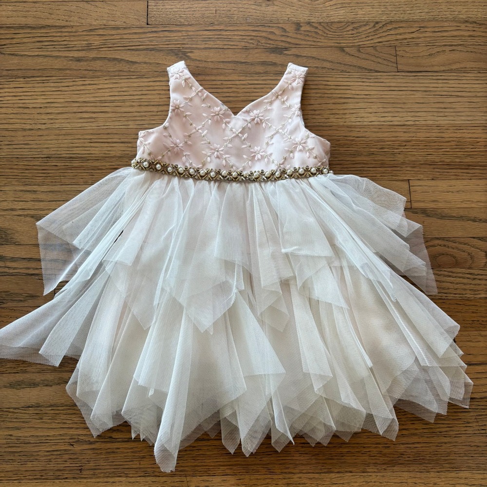 American‎ Princess Baby Girl Dress 18M Pink Tulle Embroidered Pearl Waist Formal